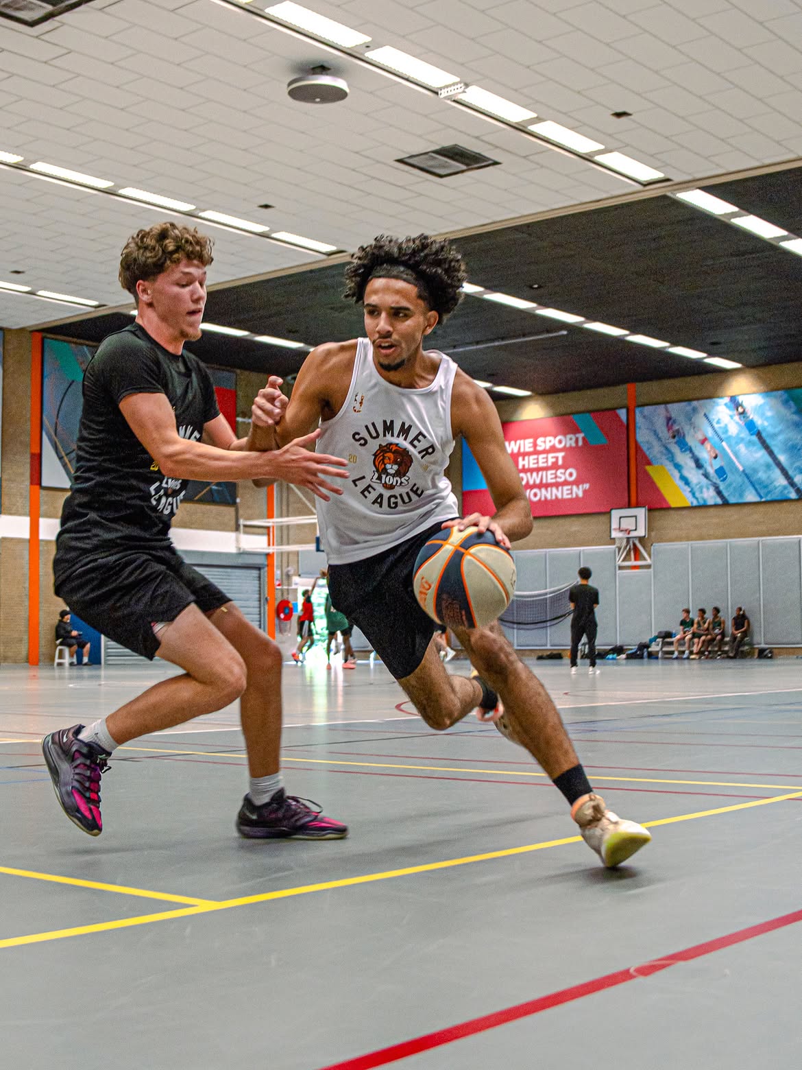 BASKETBALL BY CONCRETE LIONS