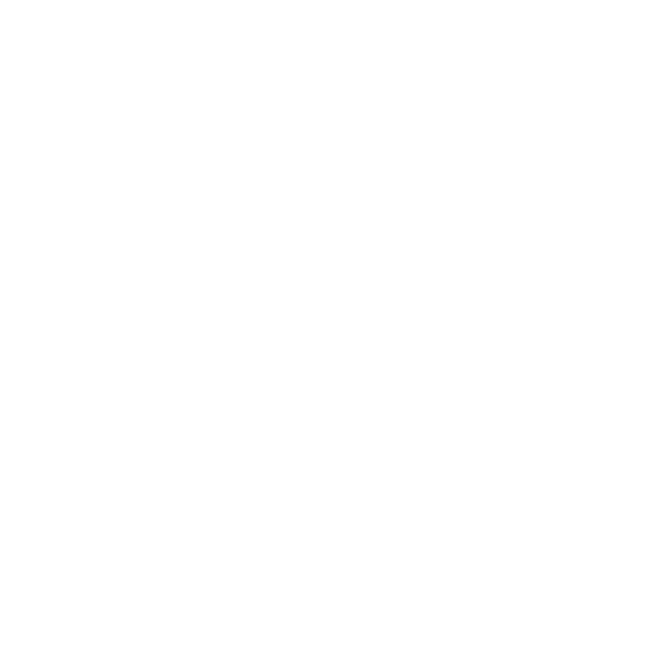 Erasmusstichting logo