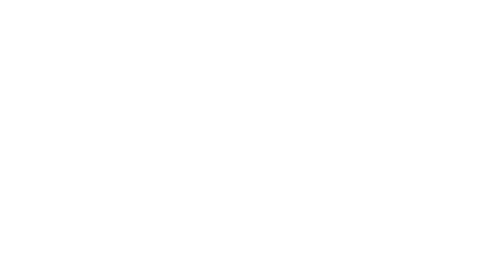 Stichting Boemerang logo